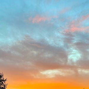 Meet your Posher, Kenya